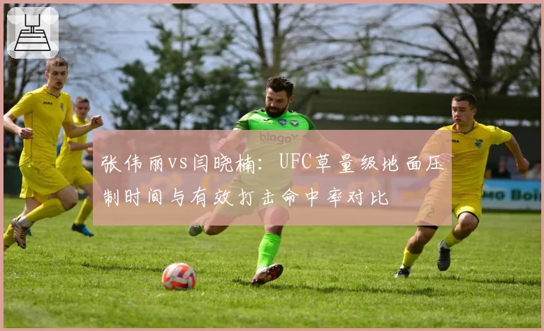 张伟丽vs闫晓楠：UFC草量级地面压制时间与有效打击命中率对比