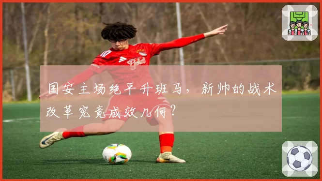 国安主场绝平升班马，新帅的战术改革究竟成效几何？